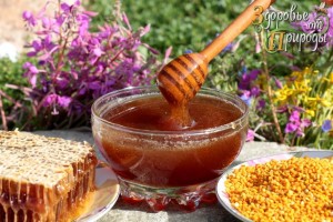 Какой мёд самый полезный